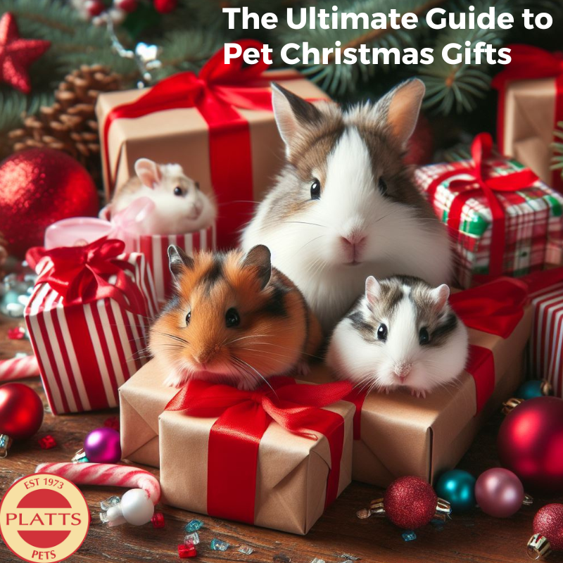 The Ultimate Guide to Pet Christmas Gifts: Top Picks for 2023