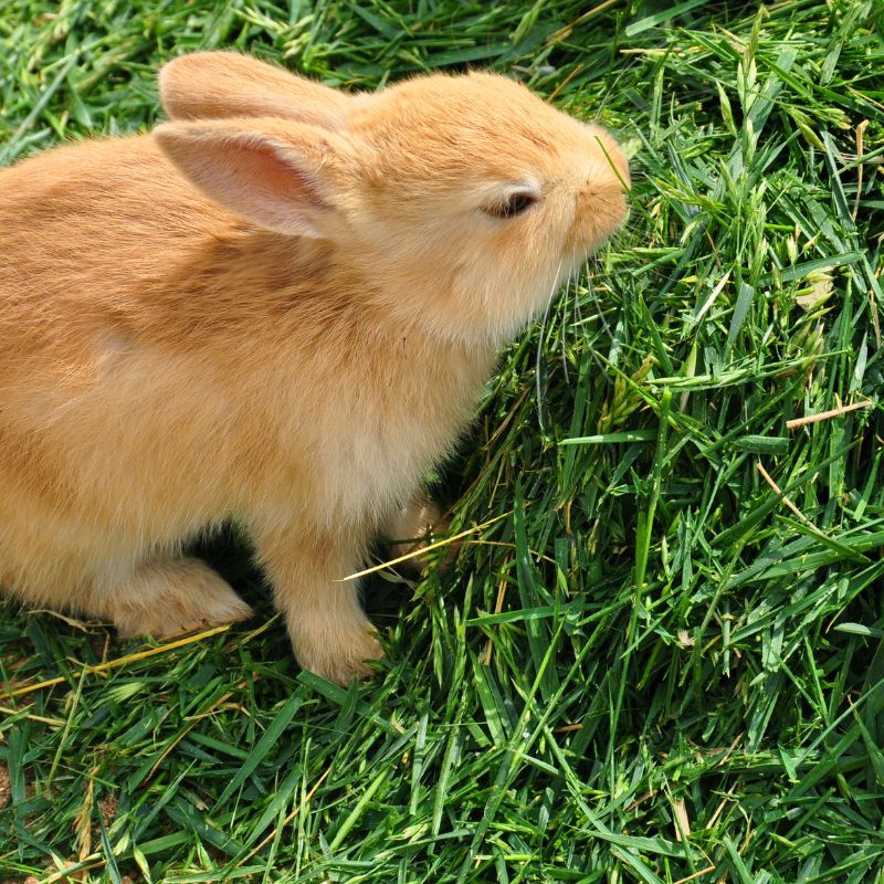 Sustainability Facts: Why Sustainability Matters