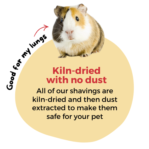 Kiln dried and dust extracted pet bedding