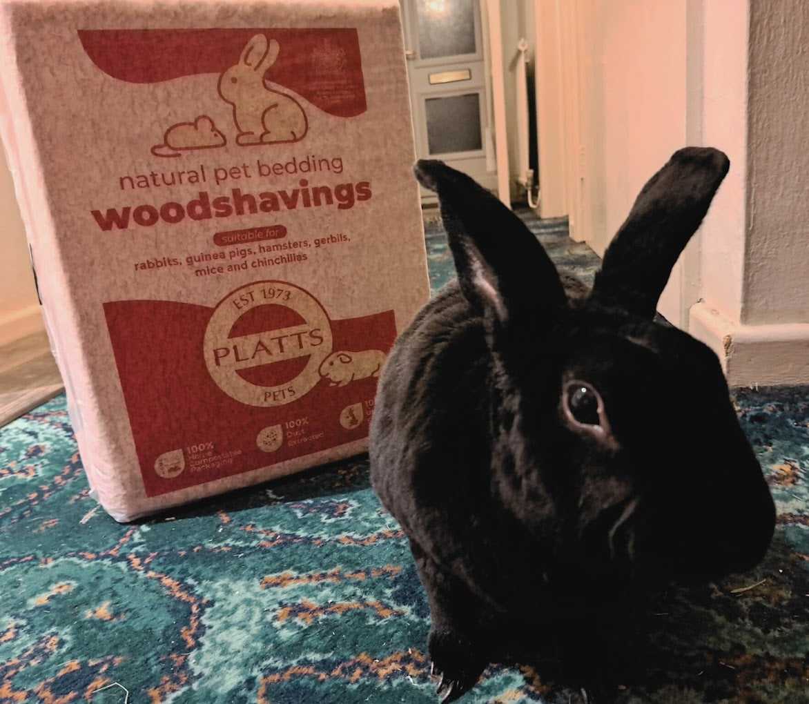 Premium Woodshavings