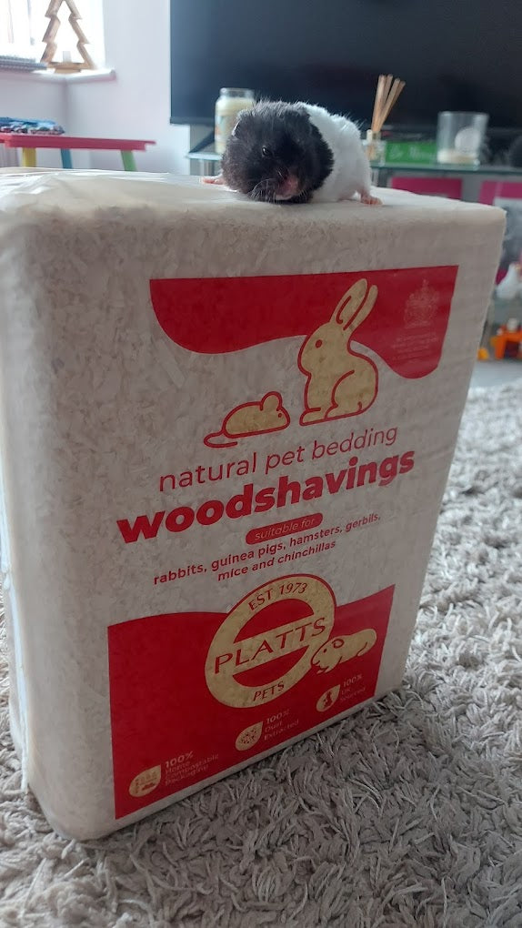 Premium Woodshavings