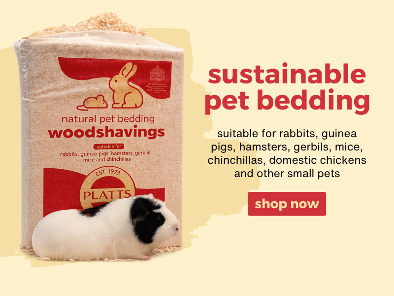 Sustainable Pet Bedding - Shop Now