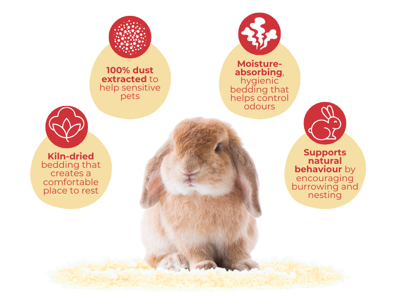 Why platts pets bedding is good for your pets